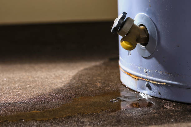 Best Fire Damage Restoration  in Cherry Grove, OH
