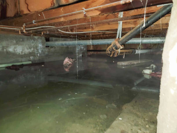 Best 24-hour water damage restoration  in Cherry Grove, OH