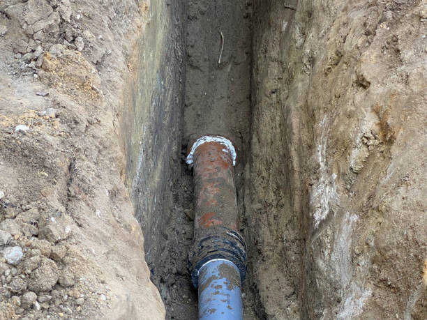 Best Sewage cleanup and water damage restoration  in Cherry Grove, OH