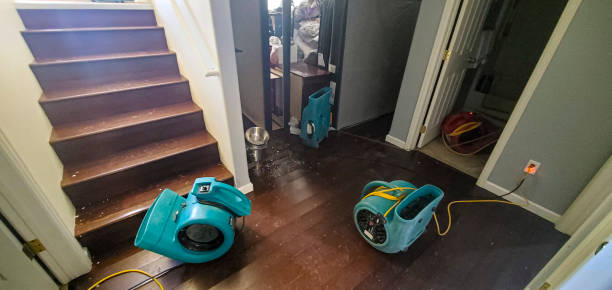 Water damage restoration process in Cherry Grove, OH