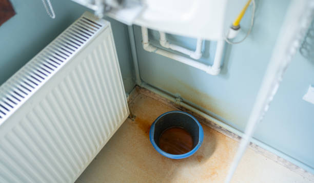 Best Water damage cleanup near me  in Cherry Grove, OH