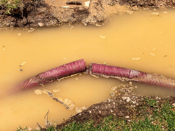 Best Flood damage cleanup  in Cherry Grove, OH